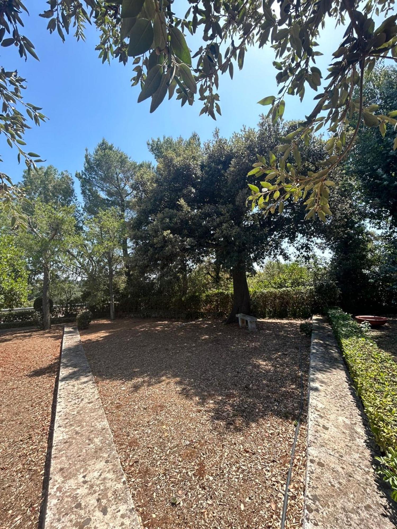 Villa San Michele By Sthey Impalata Esterno foto