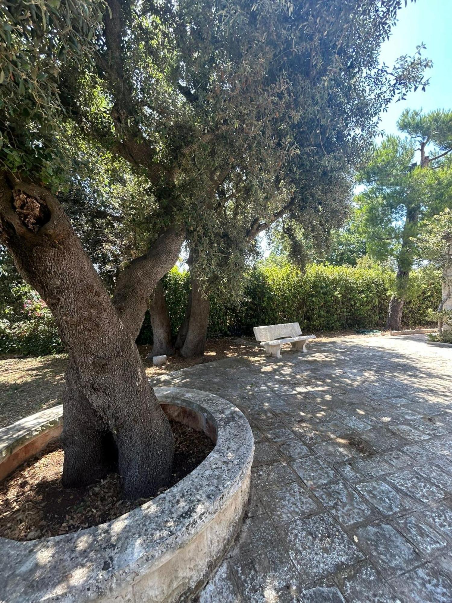 Villa San Michele By Sthey Impalata Esterno foto